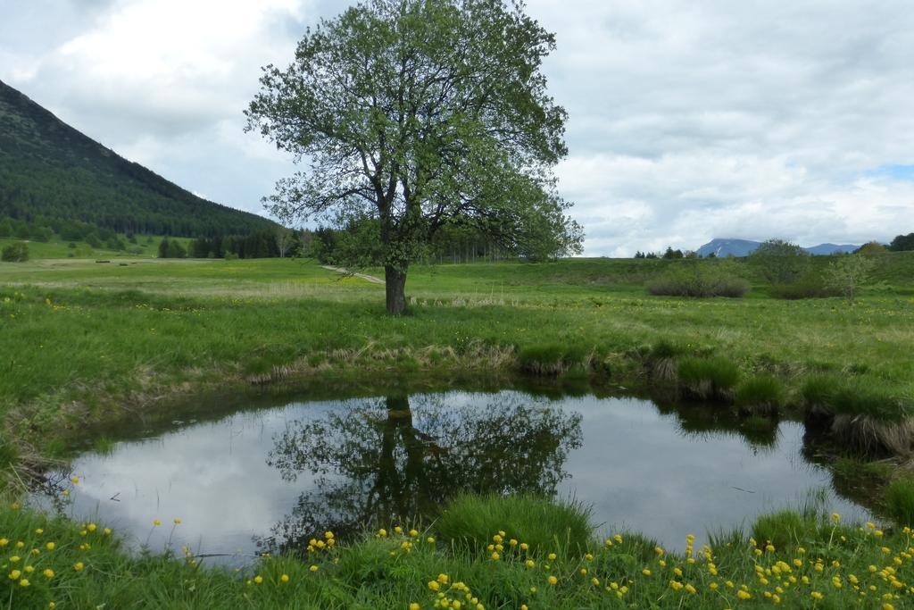 Villa Casa Pederzolli - Lagolo di Calavino Esterno foto