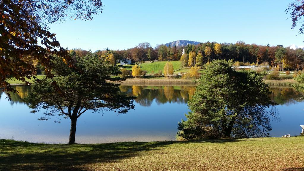 Villa Casa Pederzolli - Lagolo di Calavino Esterno foto